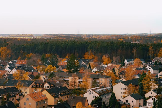 SEO for Real Estate Website